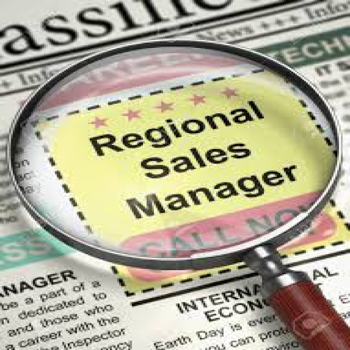 Regional Sales Manager